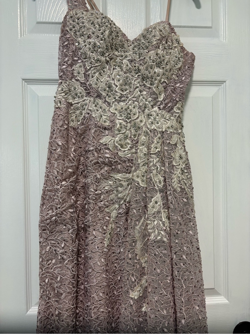 Catwalk Couture Lilac (lavender) Lace Embellished Evening Gown 6 - Picture 14 of 17